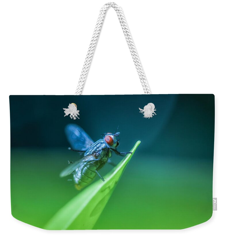 Nature Weekender Tote Bag featuring the photograph The Fly by Jonathan Nguyen