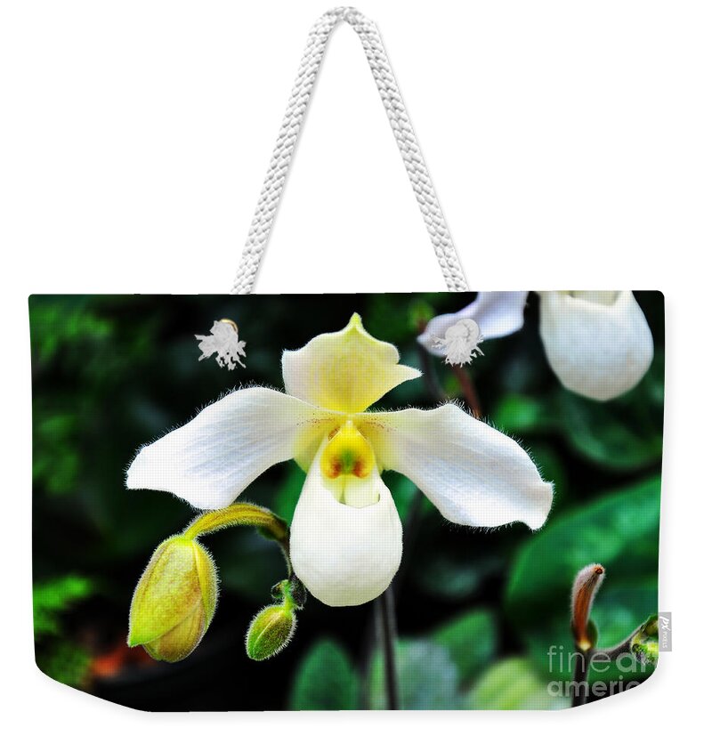 Orchid Weekender Tote Bag featuring the photograph The Flying Orchid by Andee Design