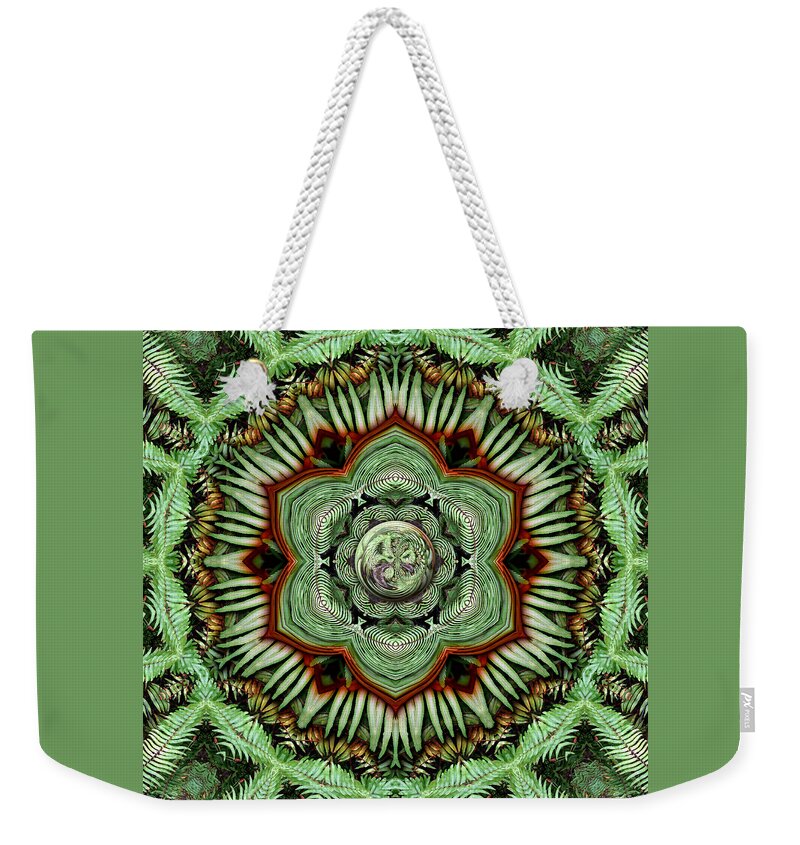 Love Weekender Tote Bag featuring the photograph The Forecast Is Fern by Karen Hochman Brown
