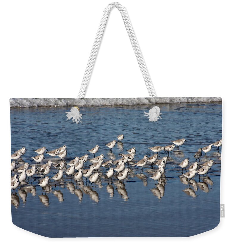 Sanderlings Weekender Tote Bag featuring the photograph The Gang's All Here by Art Block Collections