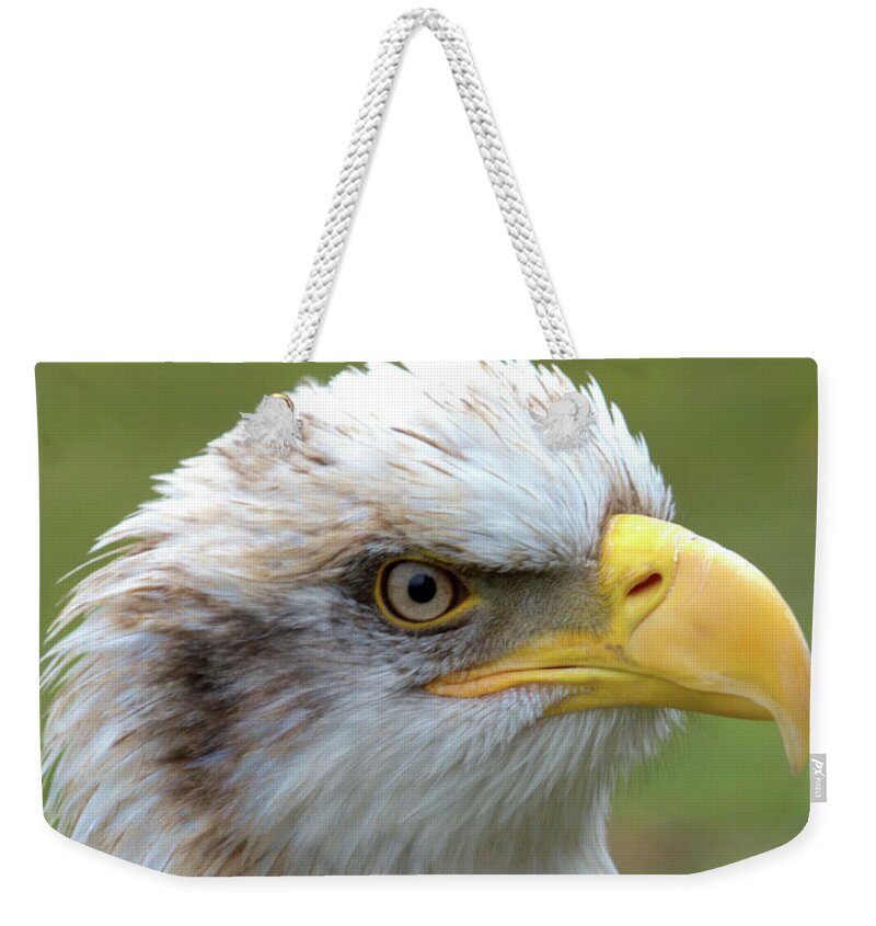 Bird Weekender Tote Bag featuring the photograph The Gaurdian by Stephen Melia