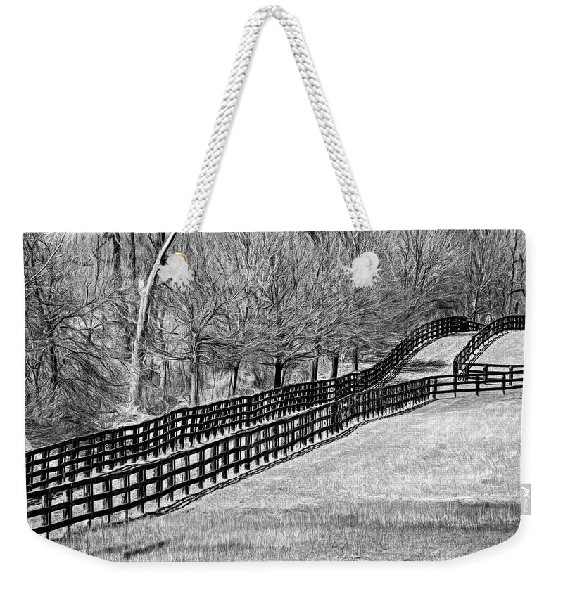 Steve Harrington Weekender Tote Bag featuring the photograph The Geometry Of Spring - Paint bw by Steve Harrington