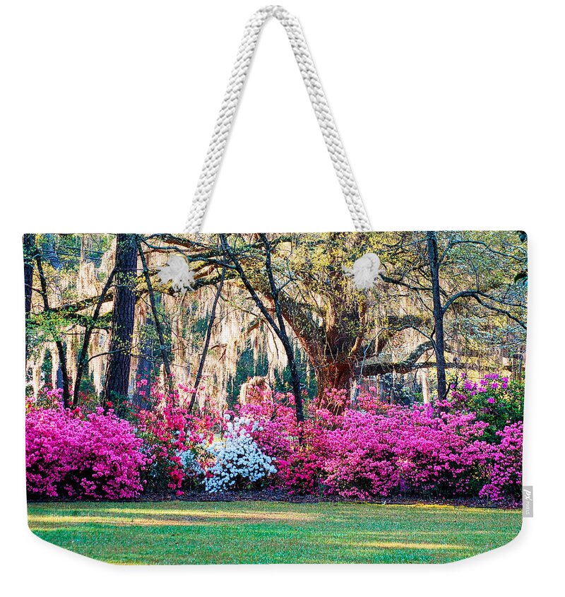 Azaleas Weekender Tote Bag featuring the photograph The Glory of Spring by Linda Brown