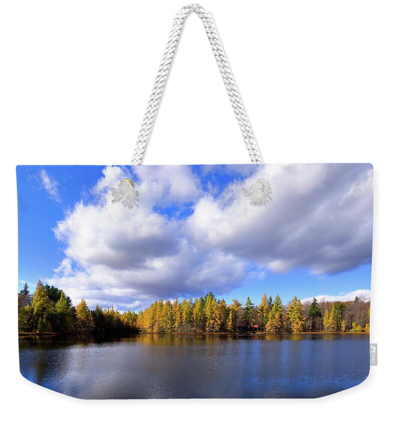 The Golden Forest At Woodcraft Weekender Tote Bag featuring the photograph The Golden Forest at Woodcraft by David Patterson