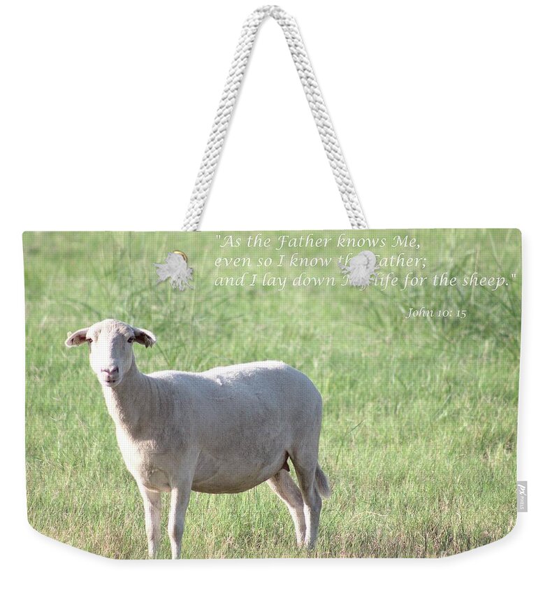 Animals Weekender Tote Bag featuring the photograph the Good Shepherd by Ella Kaye Dickey