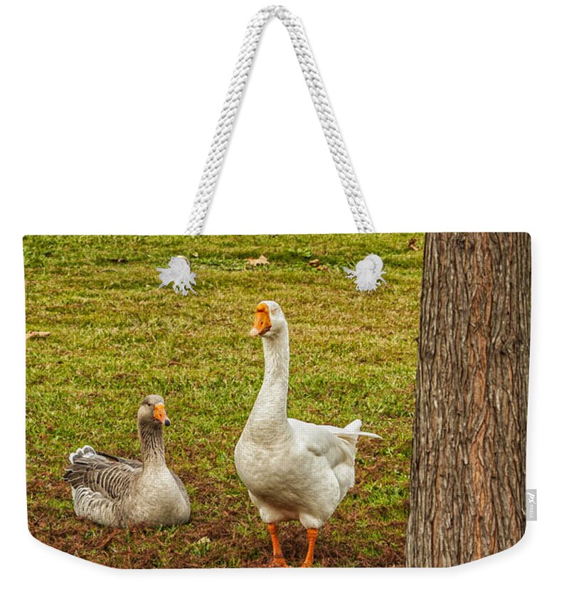 Geese Weekender Tote Bag featuring the photograph The Goose And The Gander by Frances Ann Hattier