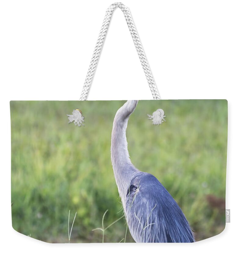 Great Blue Heron Weekender Tote Bag featuring the photograph The Great Blue by Saija Lehtonen