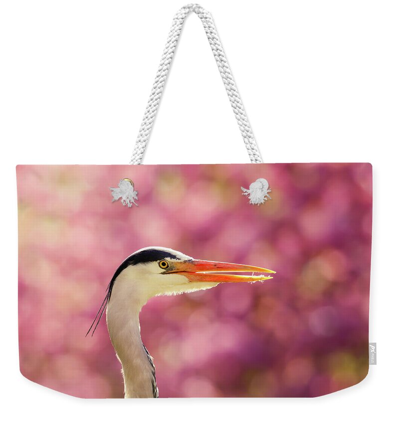Heron Weekender Tote Bag featuring the photograph The Happy Heron by Roeselien Raimond