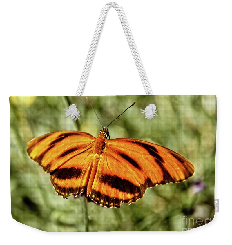 Butterfly Weekender Tote Bag featuring the photograph The Heliconian Butterfly by Robert Bales