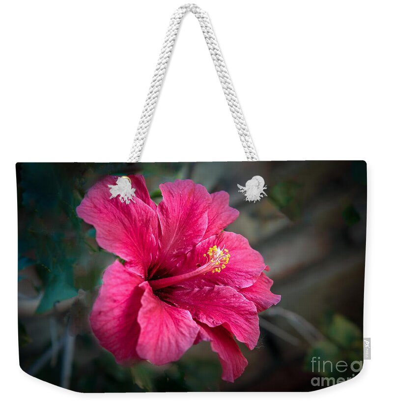 Hibiscus Weekender Tote Bag featuring the photograph The Hibiscus by Robert Bales