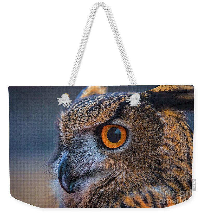 Eurasian Eagle Owl Weekender Tote Bag featuring the photograph The Hooter by Mitch Shindelbower