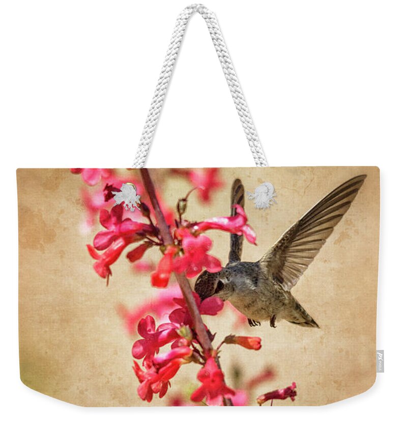Hummingbird Weekender Tote Bag featuring the photograph The hummingbird and the Spring Flowers by Saija Lehtonen