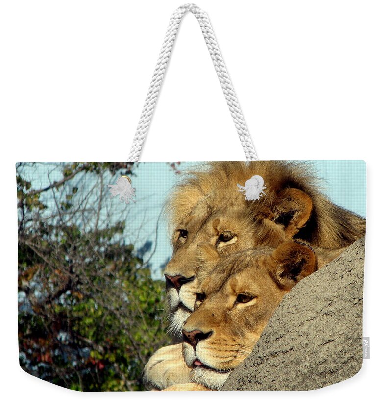 Lion Weekender Tote Bag featuring the photograph The King and Queen 1 by George Jones
