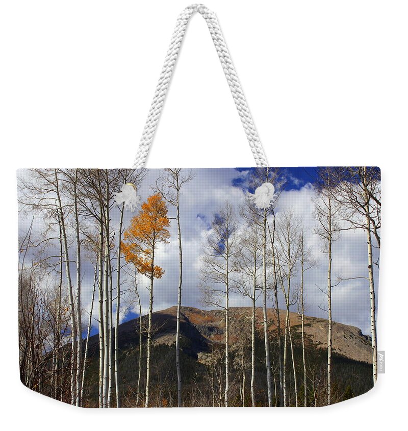 Silverthorne Weekender Tote Bag featuring the photograph The Last Hurrah by Fiona Kennard