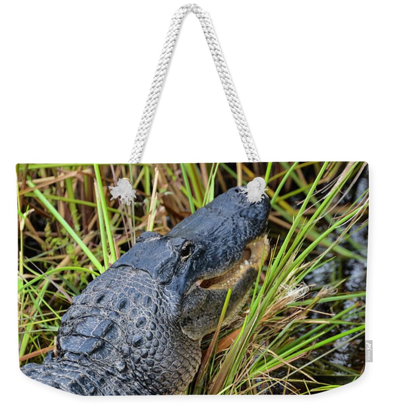 The Everglades Weekender Tote Bag featuring the photograph The Last Laugh by Bob Phillips