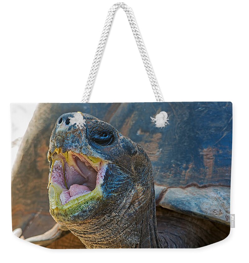 Wildlife Weekender Tote Bag featuring the photograph The Laughing Tortoise by Kenneth Albin