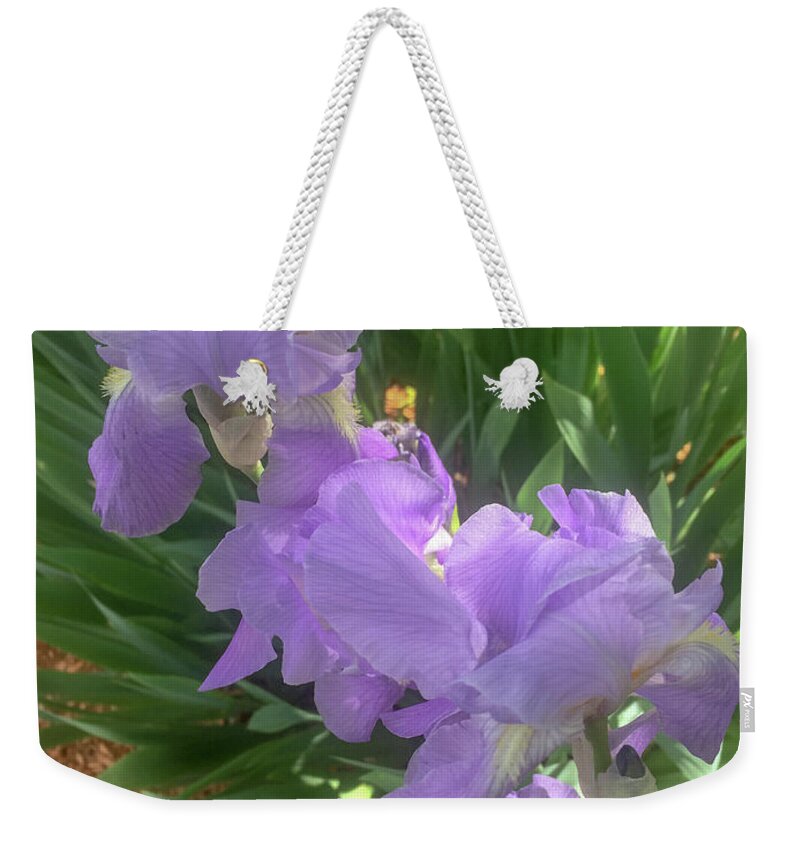 Cedar Village Weekender Tote Bag featuring the photograph The Light of Day by Joseph Yarbrough