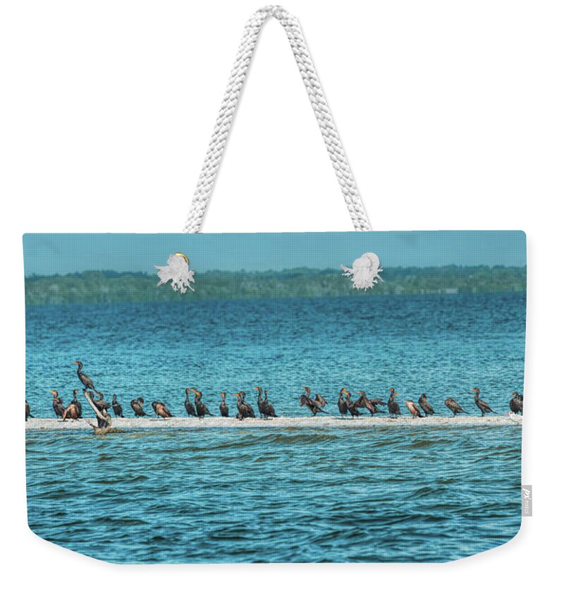 Birds Weekender Tote Bag featuring the photograph The Local Cormorant Bar by John M Bailey