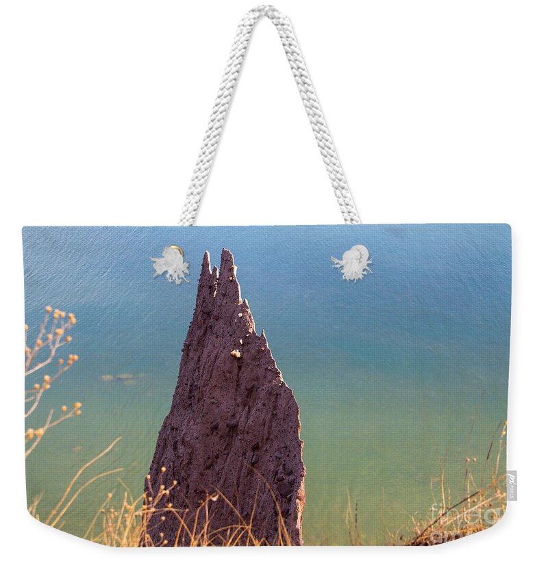 The Lone Carving Weekender Tote Bag by William Norton - William