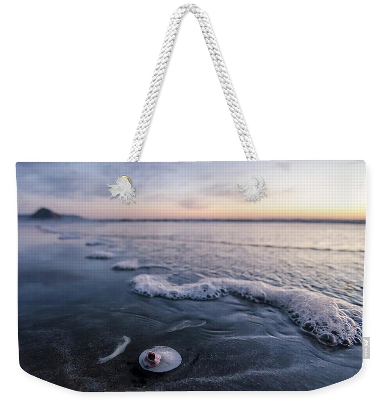 California Weekender Tote Bag featuring the photograph The Lone Sand Dollar by Margaret Pitcher