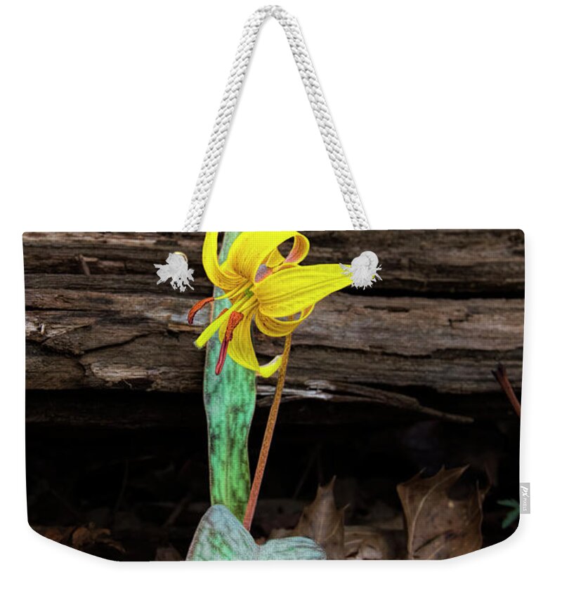 Trout Lily Weekender Tote Bag featuring the photograph The Lone Trout Lily by Barbara Bowen