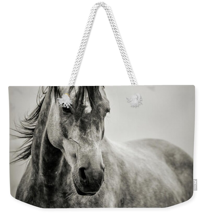 Horse Weekender Tote Bag featuring the photograph The Lonely Horse Portrait in Black and White by Dimitar Hristov