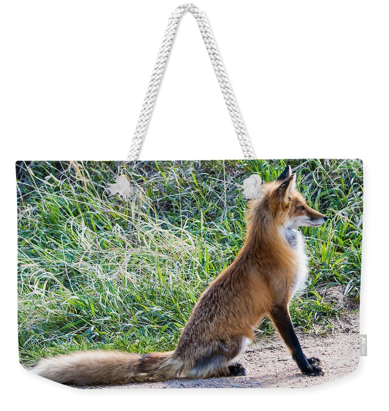 Red Fox Weekender Tote Bag featuring the photograph The Lookout by Mindy Musick King