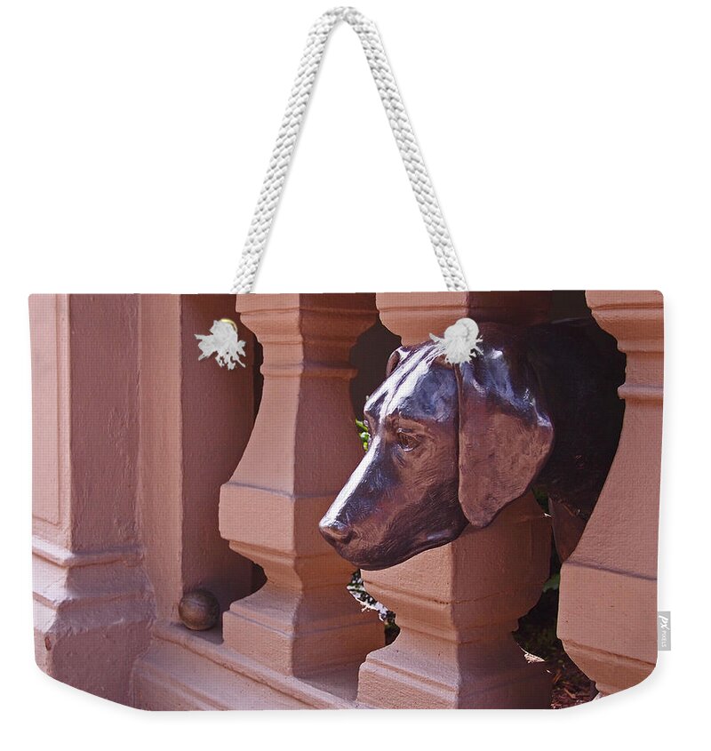 Boston Weekender Tote Bag featuring the photograph The Lost Ball by Rona Black