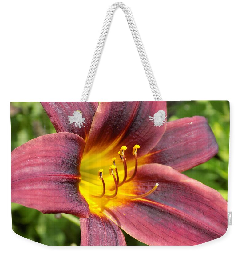 Daylilies Weekender Tote Bag featuring the photograph The Love of Lilies by William Tasker