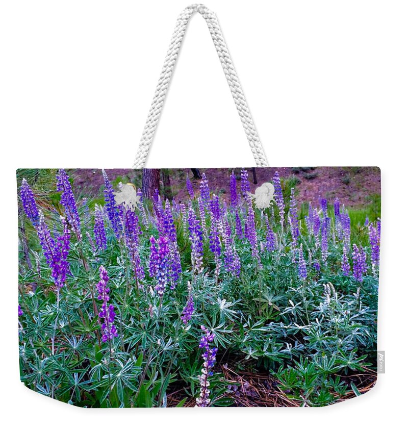Lupines Weekender Tote Bag featuring the photograph The Lupine Convention by Jennifer Lake