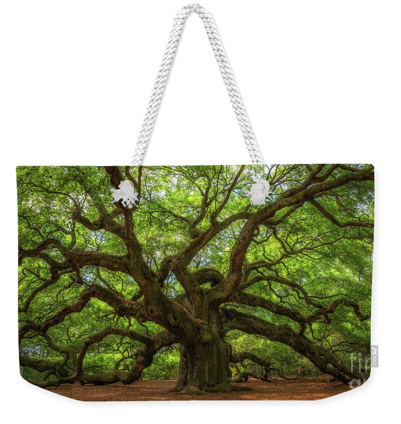 Angel Oak Tree Weekender Tote Bag featuring the photograph The Magical Angel Oak Tree Panorama by Michael Ver Sprill