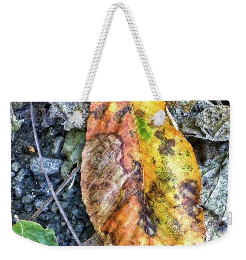 Autumn Weekender Tote Bag featuring the photograph The Measure of Leaves by Kerri Farley