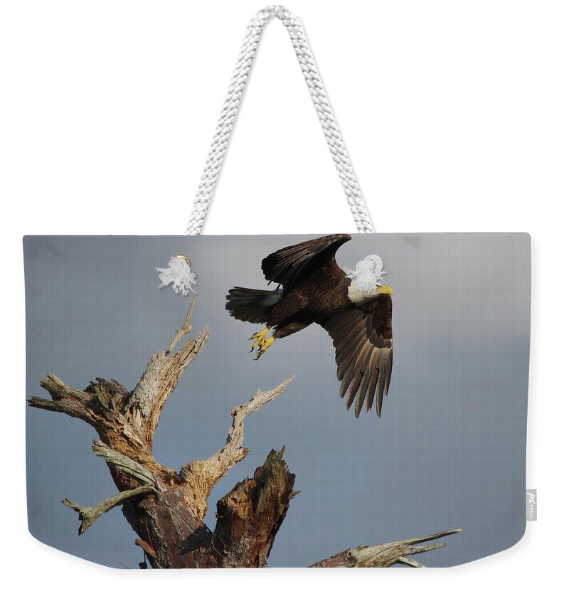 Ozzie Weekender Tote Bag featuring the photograph the Mighty Ozzie. by Evelyn Garcia