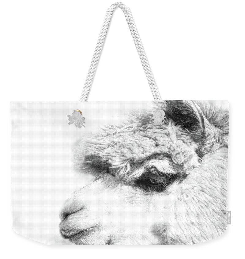 Llama Weekender Tote Bag featuring the photograph The Misty by Robin-Lee Vieira