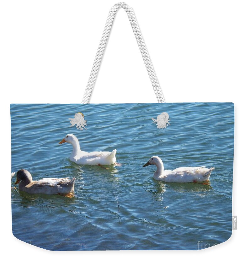 The Nudge Weekender Tote Bag featuring the photograph The Nudge by Seaux-N-Seau Soileau