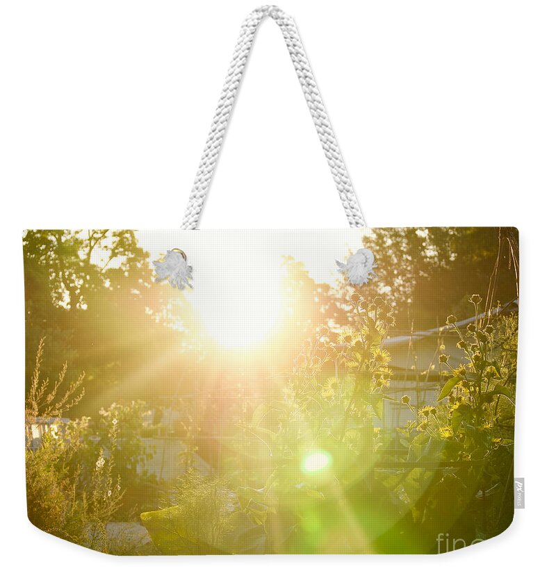 Garden Weekender Tote Bag featuring the photograph The Nursery Garden at Sunrise by Rachel Morrison
