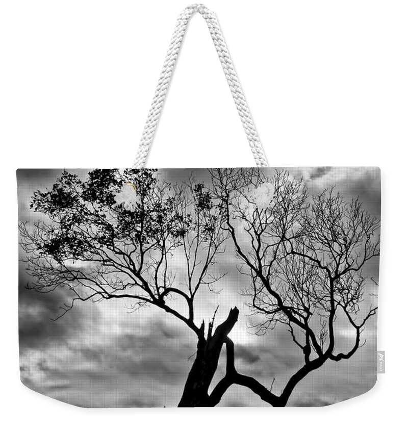 2015 Weekender Tote Bag featuring the photograph The Old Mangrove tree in the Sea by Robert Charity