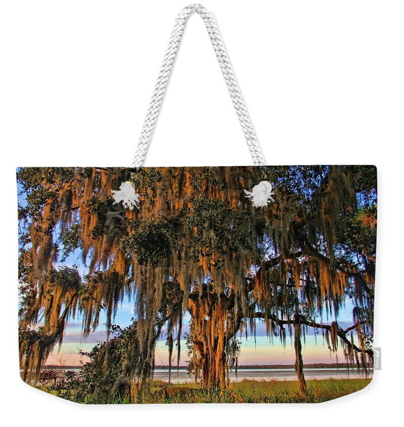 Oak Tree Weekender Tote Bag featuring the photograph The Old Oak Tree by HH Photography of Florida