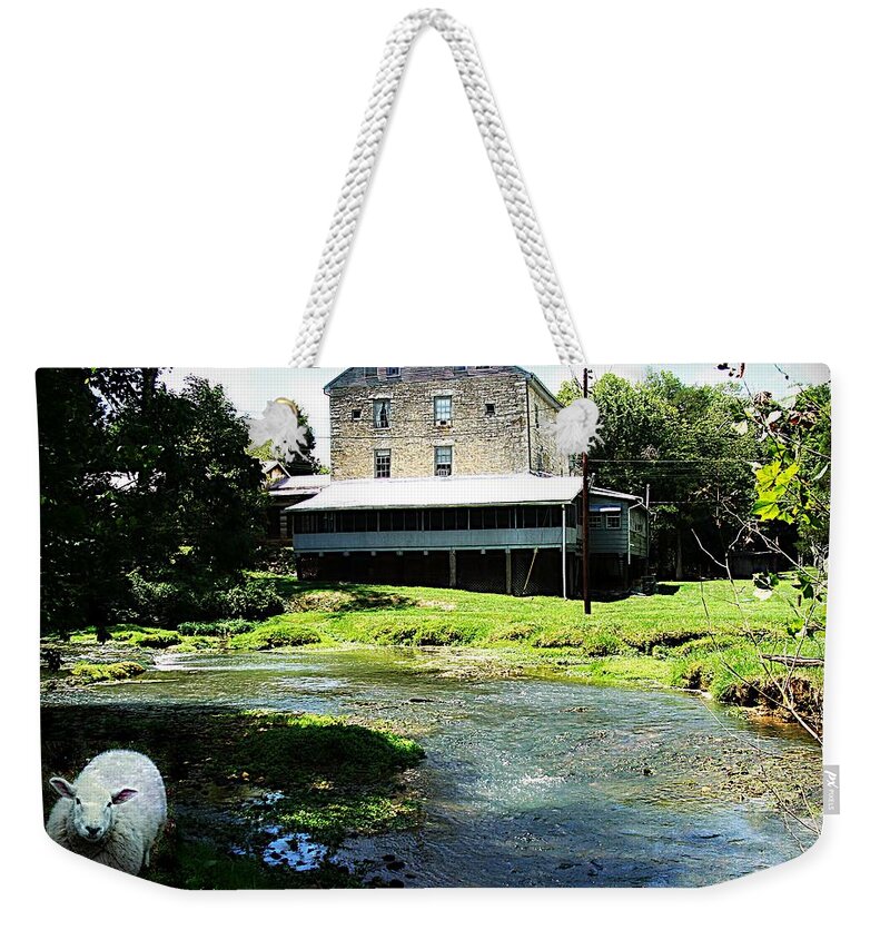 Animal Weekender Tote Bag featuring the photograph The Curious Sheep by Stacie Siemsen