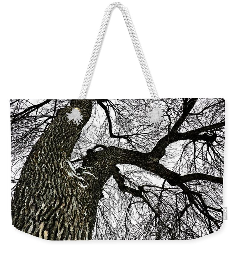 Tree Weekender Tote Bag featuring the photograph The Old Tree by Cristina Stefan