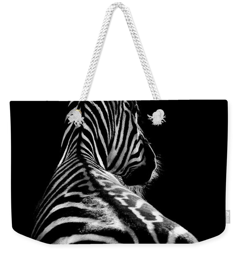 Zebra Weekender Tote Bag featuring the photograph The On Looker by Paul Neville