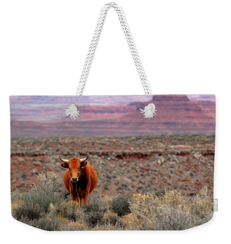 Open Weekender Tote Bag featuring the photograph The Open Range 2 by Nicholas Blackwell