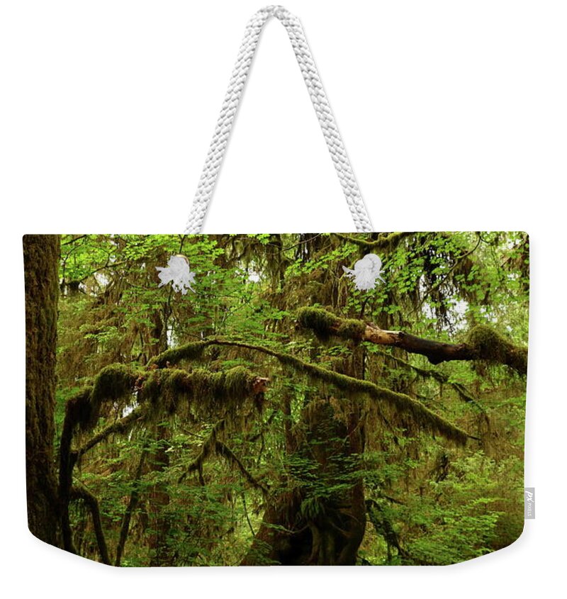 Fern Weekender Tote Bag featuring the photograph The Opulence Of The Rainforest by Christiane Schulze Art And Photography