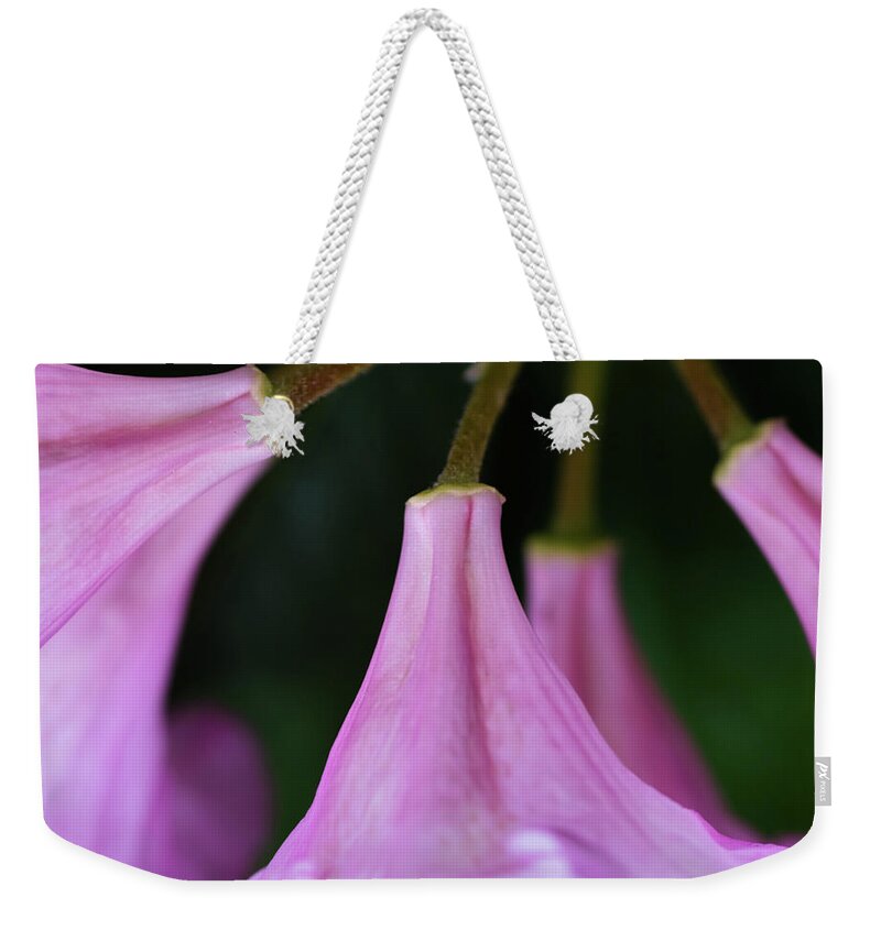 Rhododendron Flowers Weekender Tote Bag featuring the photograph The Other End - by Julie Weber