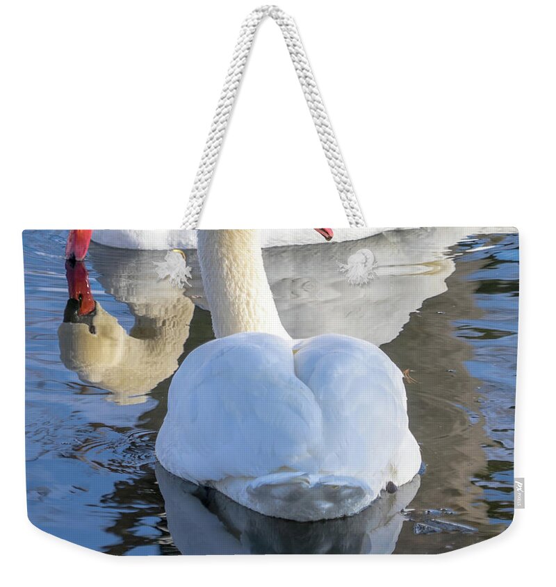 Swans Weekender Tote Bag featuring the photograph The Pair by Cathy Donohoue