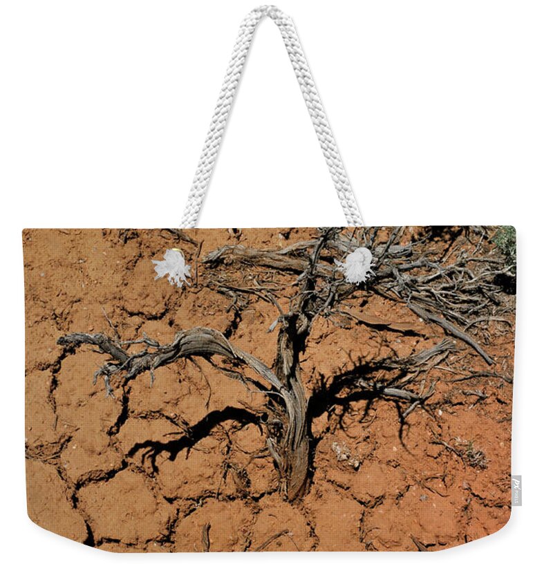 Landscape Weekender Tote Bag featuring the photograph The Parched Earth by Ron Cline