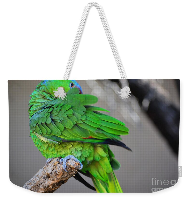 Bird Weekender Tote Bag featuring the photograph The Parrot by Donna Greene