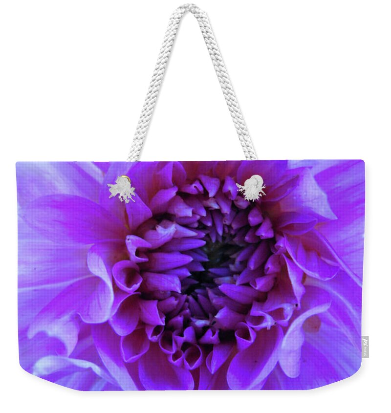 Floral Weekender Tote Bag featuring the photograph The Passionate Dahlia by Lora Fisher