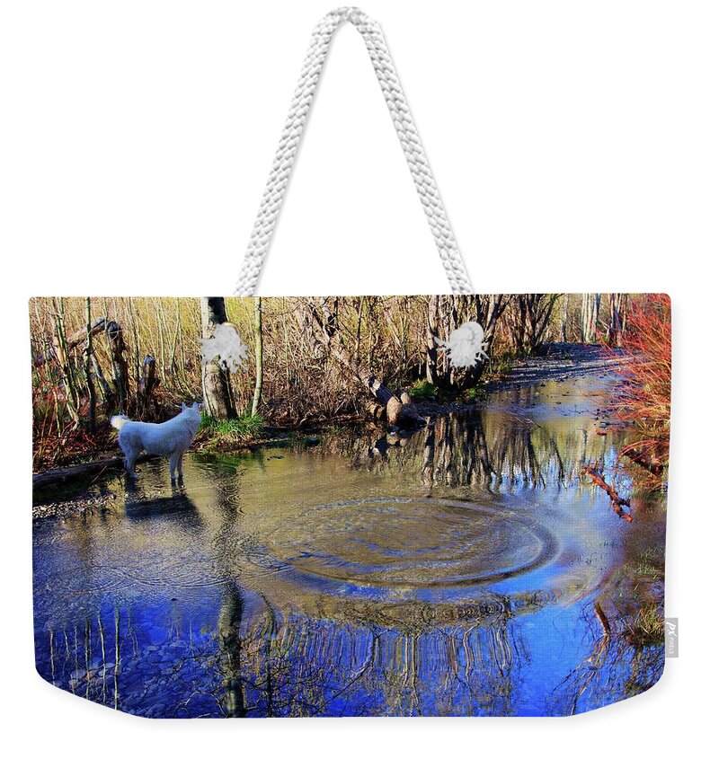 Path Weekender Tote Bag featuring the photograph The Path Of Reflection by Sean Sarsfield