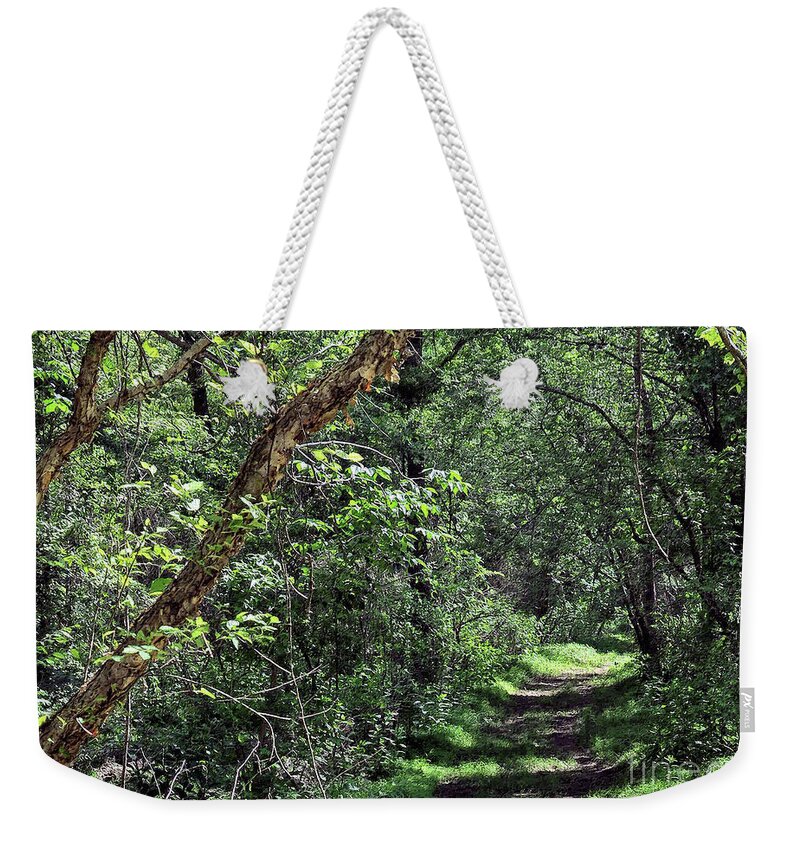 Trees. Path Weekender Tote Bag featuring the photograph The Path We Walked by Lydia Holly
